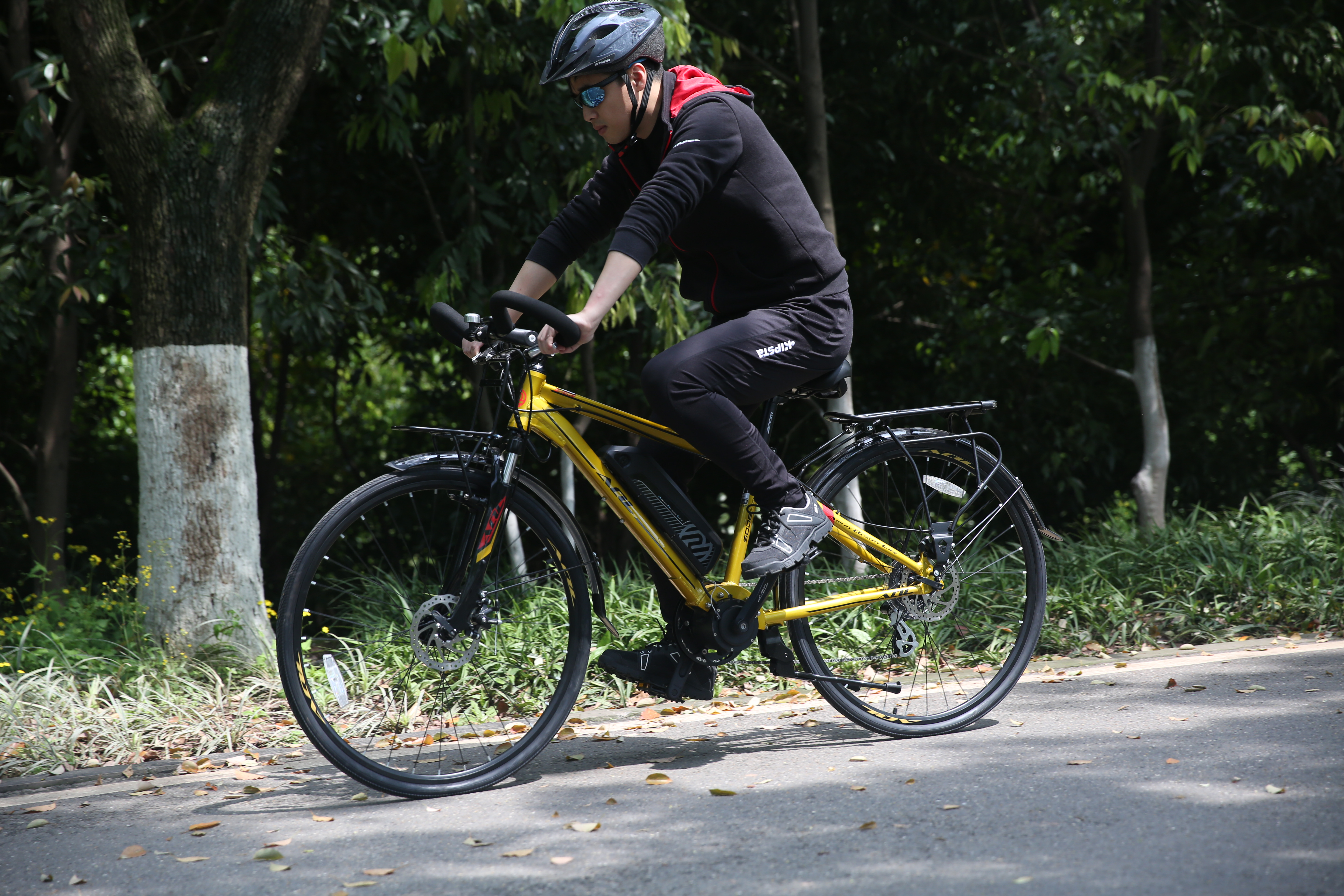 ebike