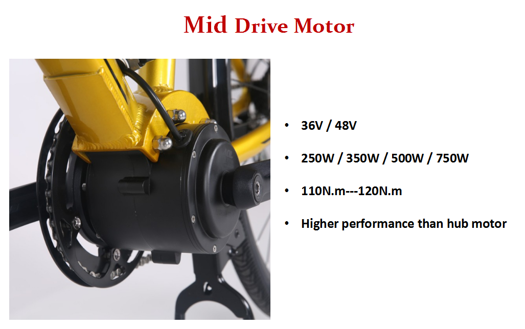 mid motor ebike